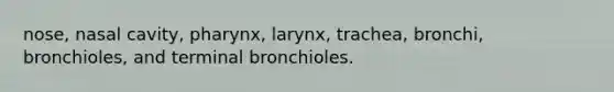 nose, nasal cavity, pharynx, larynx, trachea, bronchi, bronchioles, and terminal bronchioles.