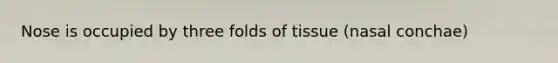 Nose is occupied by three folds of tissue (nasal conchae)