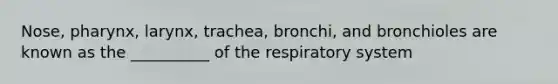 Nose, pharynx, larynx, trachea, bronchi, and bronchioles are known as the __________ of the respiratory system