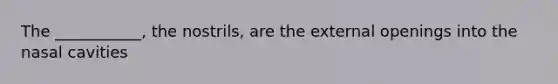 The ___________, the nostrils, are the external openings into the nasal cavities