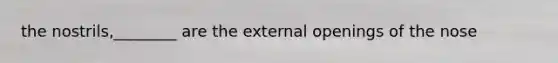 the nostrils,________ are the external openings of the nose