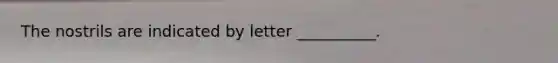 The nostrils are indicated by letter __________.