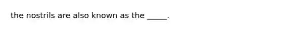 the nostrils are also known as the _____.