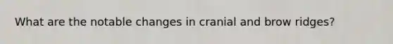 What are the notable changes in cranial and brow ridges?