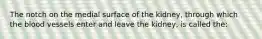 The notch on the medial surface of the kidney, through which the blood vessels enter and leave the kidney, is called the: