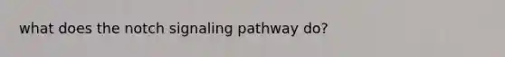 what does the notch signaling pathway do?