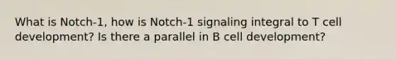 What is Notch-1, how is Notch-1 signaling integral to T cell development? Is there a parallel in B cell development?