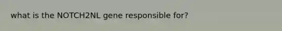 what is the NOTCH2NL gene responsible for?