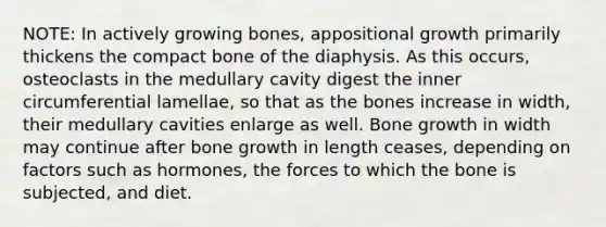 NOTE: In actively growing bones, appositional growth primarily thickens the compact bone of the diaphysis. As this occurs, osteoclasts in the medullary cavity digest the inner circumferential lamellae, so that as the bones increase in width, their medullary cavities enlarge as well. <a href='https://www.questionai.com/knowledge/ki4t7AlC39-bone-growth' class='anchor-knowledge'>bone growth</a> in width may continue after bone growth in length ceases, depending on factors such as hormones, the forces to which the bone is subjected, and diet.