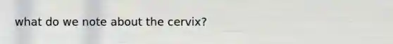 what do we note about the cervix?