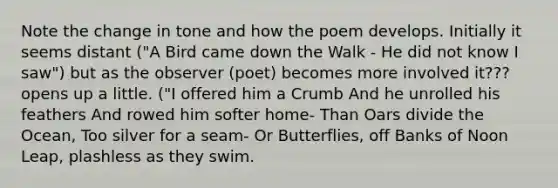 Note the change in tone and how the poem develops. Initially it seems distant ("A Bird came down the Walk - He did not know I saw") but as the observer (poet) becomes more involved it??? opens up a little. ("I offered him a Crumb And he unrolled his feathers And rowed him softer home- Than Oars divide the Ocean, Too silver for a seam- Or Butterflies, off Banks of Noon Leap, plashless as they swim.