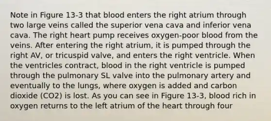 Note in Figure 13-3 that blood enters the right atrium through two large veins called the superior vena cava and inferior vena cava. The right heart pump receives oxygen-poor blood from the veins. After entering the right atrium, it is pumped through the right AV, or tricuspid valve, and enters the right ventricle. When the ventricles contract, blood in the right ventricle is pumped through the pulmonary SL valve into the pulmonary artery and eventually to the lungs, where oxygen is added and carbon dioxide (CO2) is lost. As you can see in Figure 13-3, blood rich in oxygen returns to the left atrium of the heart through four