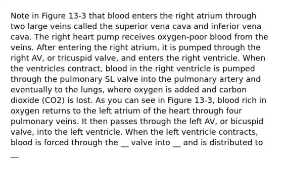 Note in Figure 13-3 that blood enters the right atrium through two large veins called the superior vena cava and inferior vena cava. The right heart pump receives oxygen-poor blood from the veins. After entering the right atrium, it is pumped through the right AV, or tricuspid valve, and enters the right ventricle. When the ventricles contract, blood in the right ventricle is pumped through the pulmonary SL valve into the pulmonary artery and eventually to the lungs, where oxygen is added and carbon dioxide (CO2) is lost. As you can see in Figure 13-3, blood rich in oxygen returns to the left atrium of the heart through four pulmonary veins. It then passes through the left AV, or bicuspid valve, into the left ventricle. When the left ventricle contracts, blood is forced through the __ valve into __ and is distributed to __