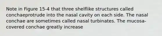 Note in Figure 15-4 that three shelflike structures called conchaeprotrude into the nasal cavity on each side. The nasal conchae are sometimes called nasal turbinates. The mucosa-covered conchae greatly increase