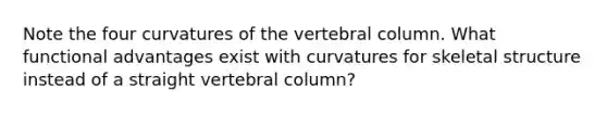 Note the four curvatures of the vertebral column. What functional advantages exist with curvatures for skeletal structure instead of a straight vertebral column?