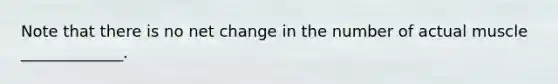 Note that there is no net change in the number of actual muscle _____________.