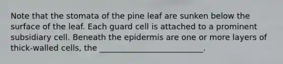 Note that the stomata of the pine leaf are sunken below the surface of the leaf. Each guard cell is attached to a prominent subsidiary cell. Beneath <a href='https://www.questionai.com/knowledge/kBFgQMpq6s-the-epidermis' class='anchor-knowledge'>the epidermis</a> are one or more layers of thick-walled cells, the __________________________.