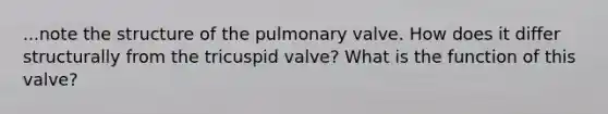 ...note the structure of the pulmonary valve. How does it differ structurally from the tricuspid valve? What is the function of this valve?