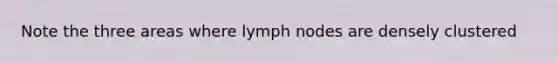 Note the three areas where lymph nodes are densely clustered