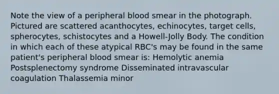 Note the view of a peripheral blood smear in the photograph. Pictured are scattered acanthocytes, echinocytes, target cells, spherocytes, schistocytes and a Howell-Jolly Body. The condition in which each of these atypical RBC's may be found in the same patient's peripheral blood smear is: Hemolytic anemia Postsplenectomy syndrome Disseminated intravascular coagulation Thalassemia minor