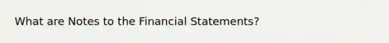 What are Notes to the Financial Statements?