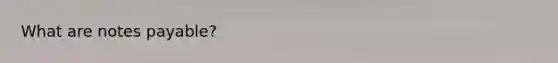 What are <a href='https://www.questionai.com/knowledge/kFEYigYd5S-notes-payable' class='anchor-knowledge'>notes payable</a>?