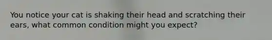 You notice your cat is shaking their head and scratching their ears, what common condition might you expect?