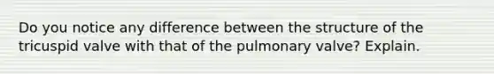 Do you notice any difference between the structure of the tricuspid valve with that of the pulmonary valve? Explain.