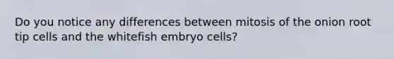 Do you notice any differences between mitosis of the onion root tip cells and the whitefish embryo cells?