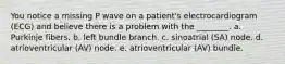 You notice a missing P wave on a patient's electrocardiogram (ECG) and believe there is a problem with the ________. a. Purkinje fibers. b. left bundle branch. c. sinoatrial (SA) node. d. atrioventricular (AV) node. e. atrioventricular (AV) bundle.