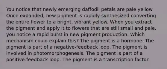 You notice that newly emerging daffodil petals are pale yellow. Once expanded, new pigment is rapidly synthesized converting the entire flower to a bright, vibrant yellow. When you extract the pigment and apply it to flowers that are still small and pale, you notice a rapid burst in new pigment production. Which mechanism could explain this? The pigment is a hormone. The pigment is part of a negative-feedback loop. The pigment is involved in photomorphogenesis. The pigment is part of a positive-feedback loop. The pigment is a transcription factor.