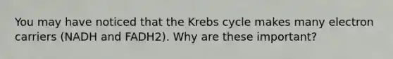 You may have noticed that the Krebs cycle makes many electron carriers (NADH and FADH2). Why are these important?