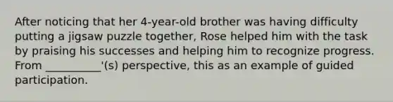 After noticing that her 4-year-old brother was having difficulty putting a jigsaw puzzle together, Rose helped him with the task by praising his successes and helping him to recognize progress. From __________'(s) perspective, this as an example of guided participation.