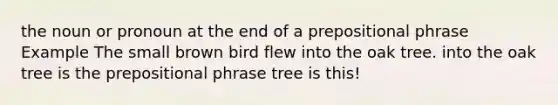 the noun or pronoun at the end of a prepositional phrase Example The small brown bird flew into the oak tree. into the oak tree is the prepositional phrase tree is this!