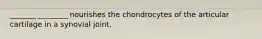 _______ ________ nourishes the chondrocytes of the articular cartilage in a synovial joint.