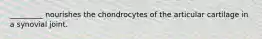 _________ nourishes the chondrocytes of the articular cartilage in a synovial joint.