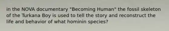 in the NOVA documentary "Becoming Human" the fossil skeleton of the Turkana Boy is used to tell the story and reconstruct the life and behavior of what hominin species?