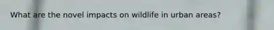 What are the novel impacts on wildlife in urban areas?