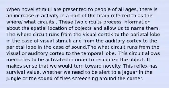 When novel stimuli are presented to people of all ages, there is an increase in activity in a part of the brain referred to as the where/ what circuits . These two circuits process information about the spatial location of objects and allow us to name them. The where circuit runs from the visual cortex to the parietal lobe in the case of visual stimuli and from the auditory cortex to the parietal lobe in the case of sound.The what circuit runs from the visual or auditory cortex to the temporal lobe. This circuit allows memories to be activated in order to recognize the object. It makes sense that we would turn toward novelty. This reflex has survival value, whether we need to be alert to a jaguar in the jungle or the sound of tires screeching around the corner.