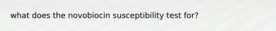 what does the novobiocin susceptibility test for?