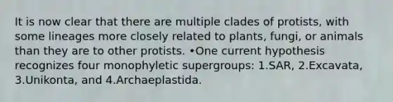 It is now clear that there are multiple clades of protists, with some lineages more closely related to plants, fungi, or animals than they are to other protists. •One current hypothesis recognizes four monophyletic supergroups: 1.SAR, 2.Excavata, 3.Unikonta, and 4.Archaeplastida.