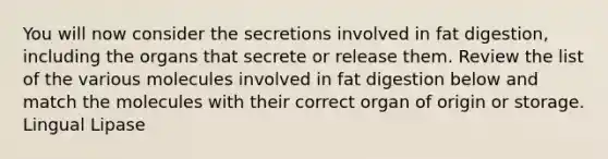 You will now consider the secretions involved in fat digestion, including the organs that secrete or release them. Review the list of the various molecules involved in fat digestion below and match the molecules with their correct organ of origin or storage. Lingual Lipase