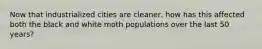 Now that industrialized cities are cleaner, how has this affected both the black and white moth populations over the last 50 years?