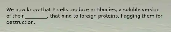 We now know that B cells produce antibodies, a soluble version of their _________, that bind to foreign proteins, flagging them for destruction.