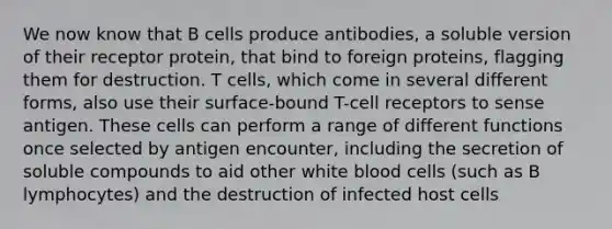 We now know that B cells produce antibodies, a soluble version of their receptor protein, that bind to foreign proteins, flagging them for destruction. T cells, which come in several different forms, also use their surface-bound T-cell receptors to sense antigen. These cells can perform a range of different functions once selected by antigen encounter, including the secretion of soluble compounds to aid other white blood cells (such as B lymphocytes) and the destruction of infected host cells