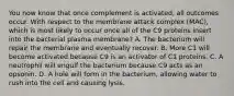 You now know that once complement is activated, all outcomes occur. With respect to the membrane attack complex (MAC), which is most likely to occur once all of the C9 proteins insert into the bacterial plasma membrane? A. The bacterium will repair the membrane and eventually recover. B. More C1 will become activated because C9 is an activator of C1 proteins. C. A neutrophil will engulf the bacterium because C9 acts as an opsonin. D. A hole will form in the bacterium, allowing water to rush into the cell and causing lysis.