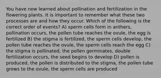 You have now learned about pollination and fertilization in the flowering plants. It is important to remember what these two processes are and how they occur. Which of the following is the correct order of events? A) sperm cells form in anthers, pollination occurs, the pollen tube reaches the ovule, the egg is fertilized B) the stigma is fertilized, the sperm cells develop, the pollen tube reaches the ovule, the sperm cells reach the egg C) the stigma is pollinated, the pollen germinates, double fertilization occurs, the seed begins to develop D) pollen is produced, the pollen is distributed to the stigma, the pollen tube grows to the ovule, the sperm cells are produced