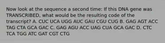 Now look at the sequence a second time: If this DNA gene was TRANSCRIBED, what would be the resulting code of the transcript? A. CUC UCA UGG AUC GAU CGU CUG B. GAG AGT ACC TAG CTA GCA GAC C. GAG AGU ACC UAG CUA GCA GAC D. CTC TCA TGG ATC GAT CGT CTG