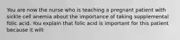 You are now the nurse who is teaching a pregnant patient with sickle cell anemia about the importance of taking supplemental folic acid. You explain that folic acid is important for this patient because it will: