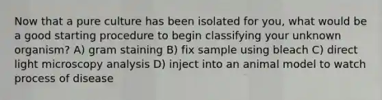 Now that a pure culture has been isolated for you, what would be a good starting procedure to begin classifying your unknown organism? A) gram staining B) fix sample using bleach C) direct light microscopy analysis D) inject into an animal model to watch process of disease